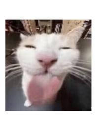 NPH睡前来一发 NPH睡前来一发